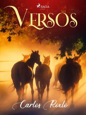 cover image of Versos